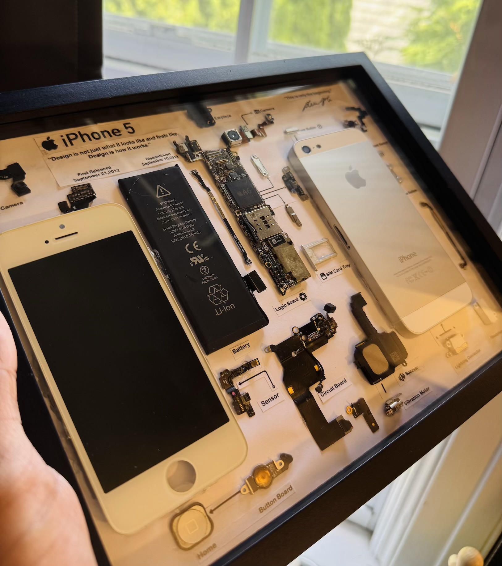 iPhone 5 Teardown