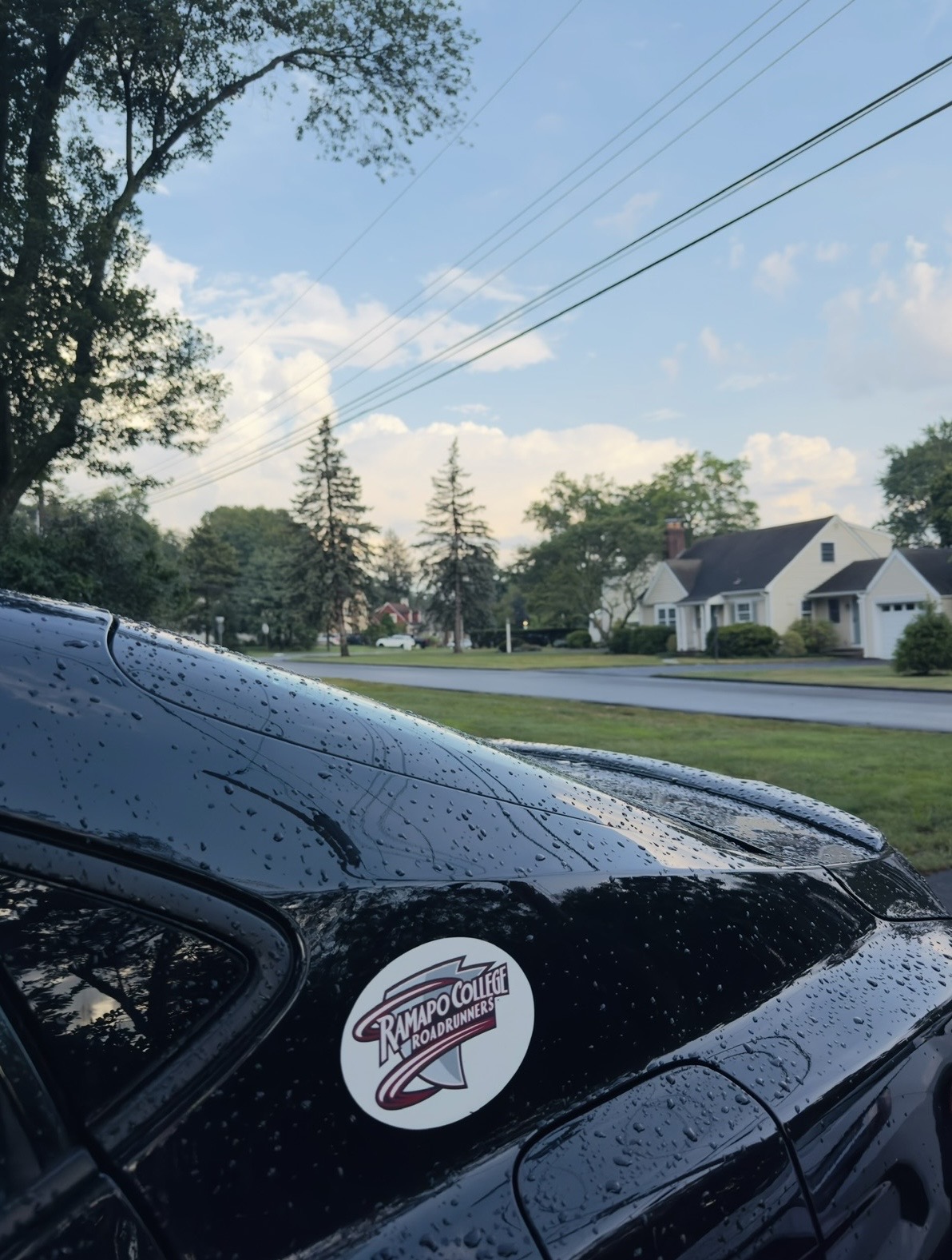 Evening Rain