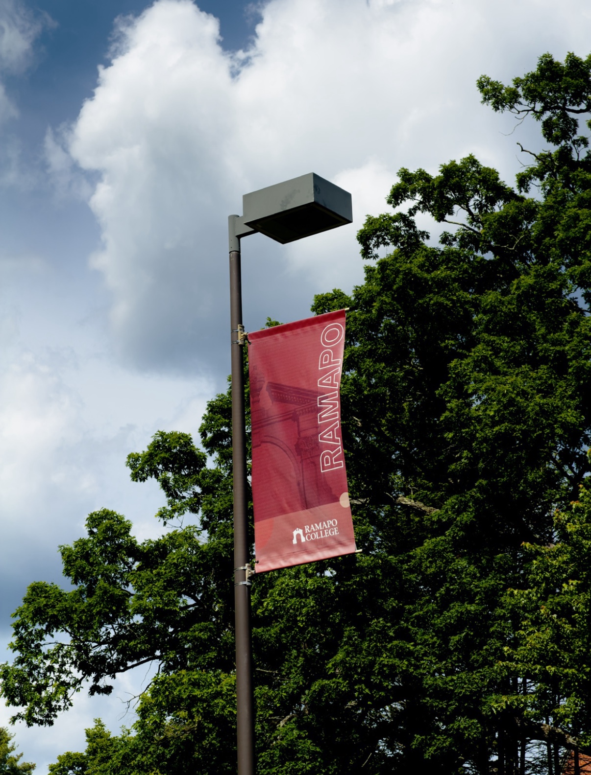 Ramapo Flag
